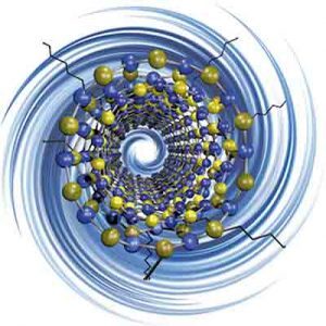 Boron Nitride Nanotubes Nano Building Block