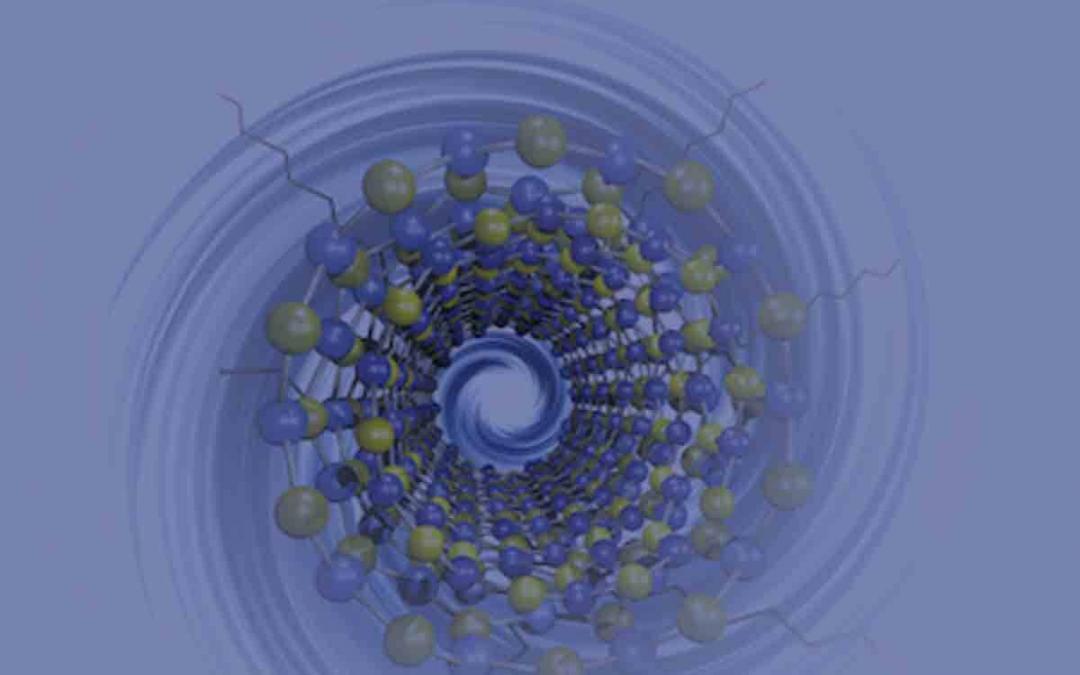 Boron Nitride Nanotubes New Nano Building Block