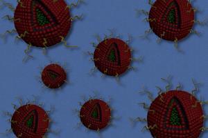 nanoparticles fight brain cancer