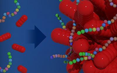 Coral-Shaped Nanoparticles Built Using Engineered Peptoids