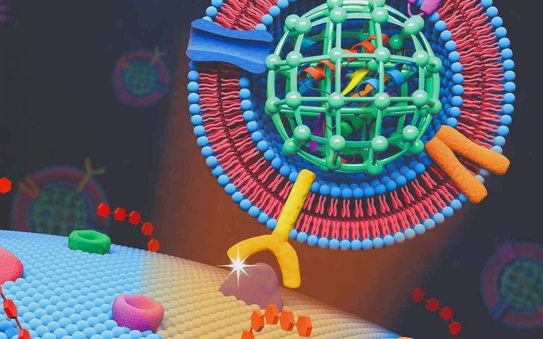 MOF Nanoparticles Used to Deliver Killer Protein to Cancer