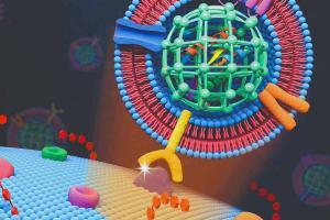 MOF Nanoparticles kill cancer