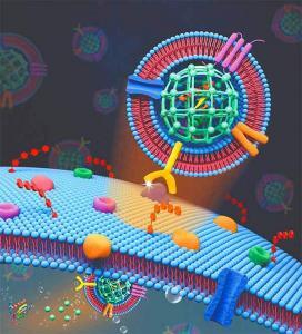 MOF Nanoparticles Protein Kill Cancer
