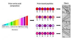 Peptides Create Nanomaterials
