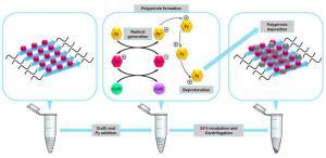 Peptides Create Nanomaterials