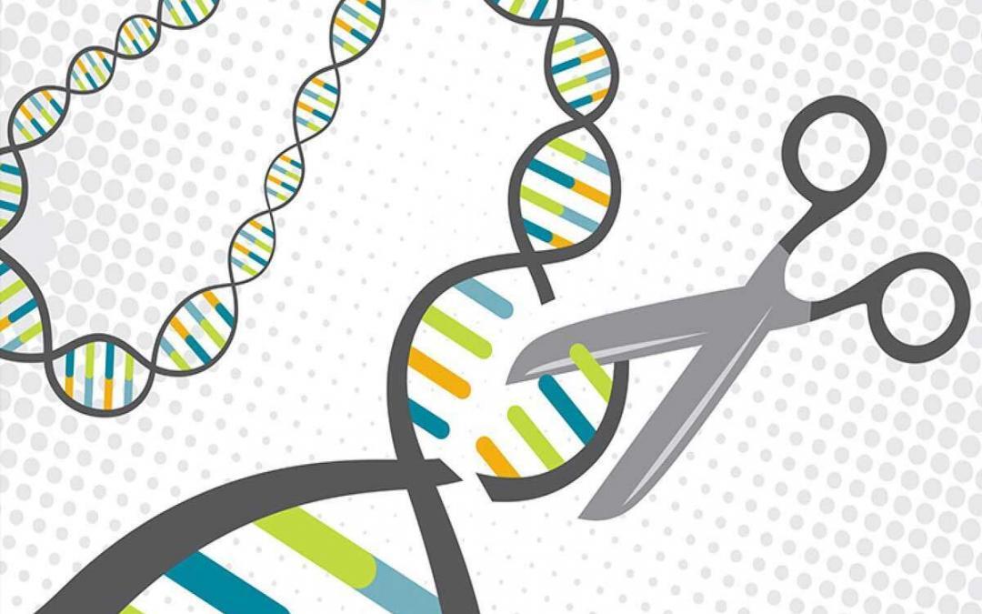 Gene Editing Therapy Made Safer With New CRISPR Technique