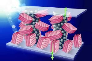 Inert Polymer Solar Cells
