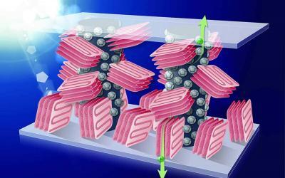 Inert Polymer Added to Plastic Solar Cells Enables High Efficiency & Easy Production