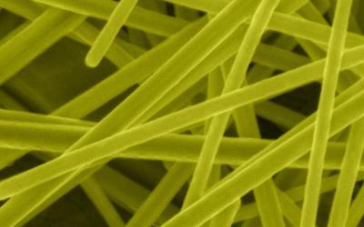 Nanowires Increase The Accuracy of Measuring Devices