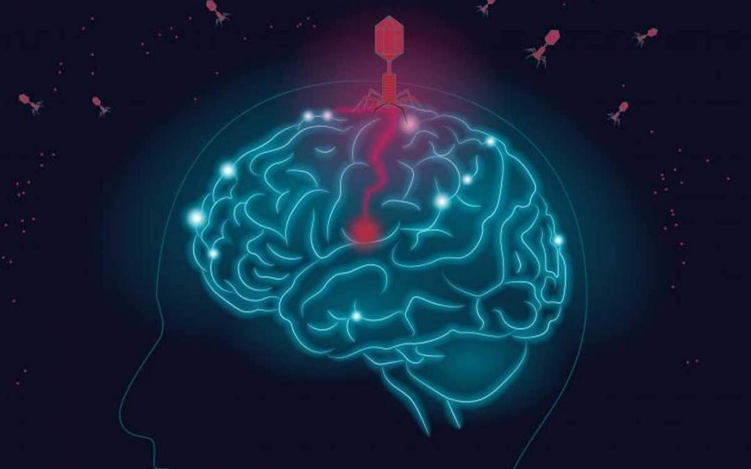 Alzheimer’s Disease Study Suggests Viral Beginnings