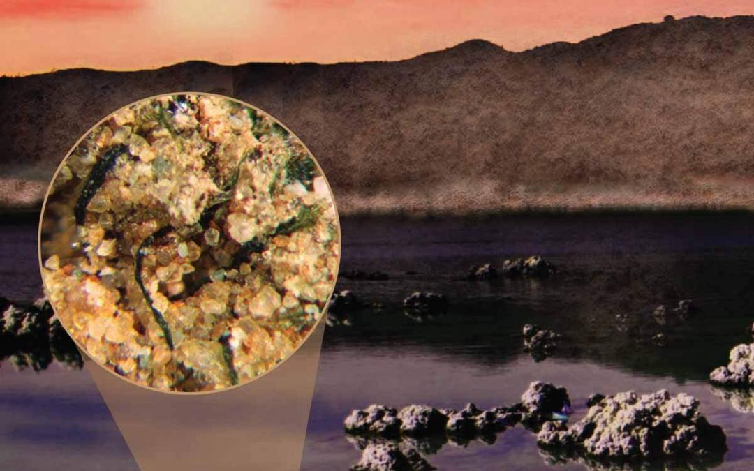 Ancient Biocrust’s Microorganisms Helped Seas With Nitrogen
