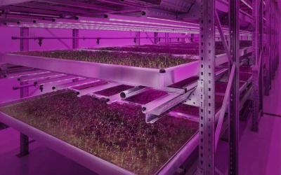 Cleanroom Farms of the Future